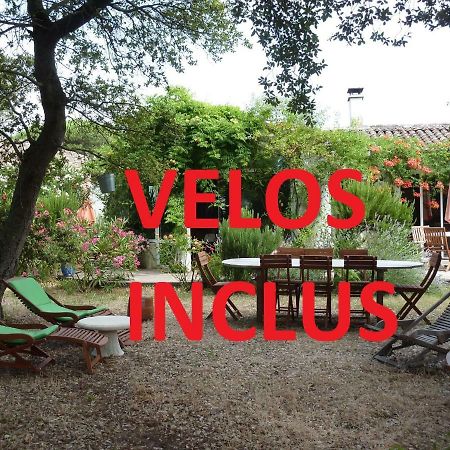 Les Chenes Bleus Bed & Breakfast Sainte-Marie-de-Re Ngoại thất bức ảnh